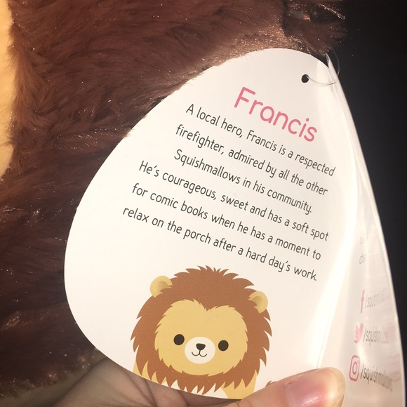 Squishmallows | Accents | Squishmallow 